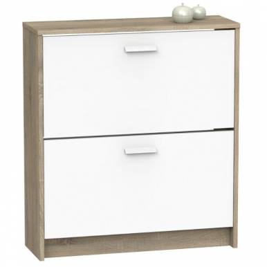 Mueble zapatero 2 puertas